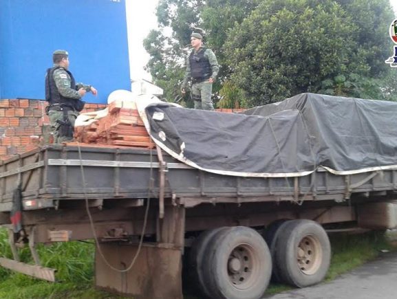 Batalhão de Policiamento Ambiental apreende transporte ilegal de