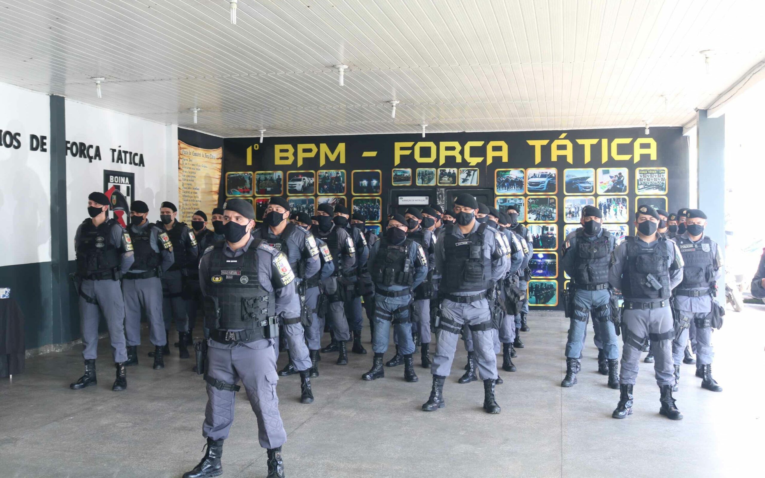 Em Sete Meses For A T Tica Apreendeu Mais De Armas De Fogo Ssp