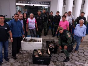 Imagem da notícia - Dema doa a instituições assistenciais da capital 700 quilos de pescado