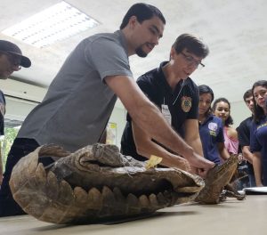 Imagem da notícia - Número de perícias em ocorrências de crimes ambientais cresceu 32,1% em 2018