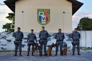 Imagem da notícia - Trabalho de cães policiais ajuda a localizar entorpecentes e até pessoas perdidas