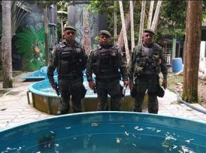 Imagem da notícia - Polícia Militar resgata filhote de peixe-boi em Manacapuru