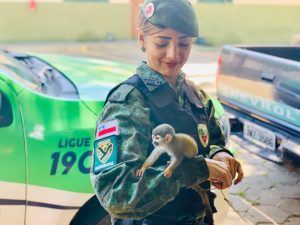 Imagem da notícia - PM por meio do Batalhão de Policiamento Ambiental resgata filhote de macaco