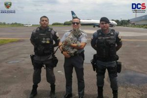 Imagem da notícia - Polícia Militar regata animal silvestre em Tabatinga