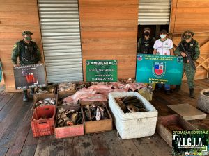 Imagem da notícia - Polícia Ambiental e CipCães apreendem 1200 quilos de pescado ilegal