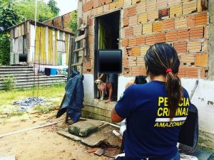 Imagem da notícia - Polícia Civil indicia dois homens por maus-tratos a animais, em Manaus