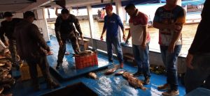 Imagem da notícia - Agentes da base Arpão apreendem três toneladas de pescado ilegal