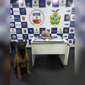 Imagem da notícia - Policiais da Base Arpão apreendem droga encontrada dentro de uma TV