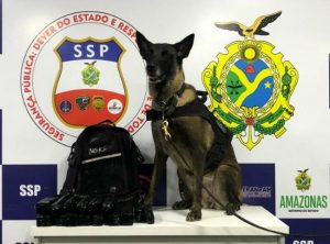 Imagem da notícia - Policiais da Base Arpão apreendem mais de 5kg de drogas