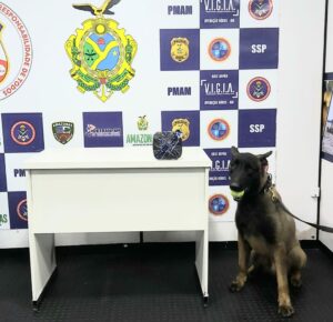 Imagem da notícia - Cão policial da Base Arpão encontra entorpecente escondido em bote salva-vidas