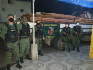 Imagem da notícia - PM apreende caminhão que transportava madeira ilegal na AM-010