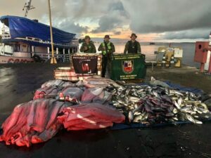 Imagem da notícia - Em Manacapuru, PM prende homem com duas toneladas de pescado ilegal