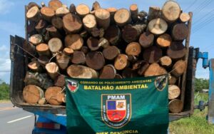 Imagem da notícia - Batalhão Ambiental da PM apreende armas e carga ilegal de madeira