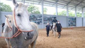 Imagem da notícia - Núcleo de Equoterapia da PMAM beneficiou mais de 70 crianças com deficiência neste ano, em Manaus