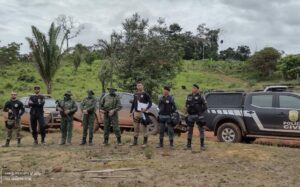 Imagem da notícia - Em Apuí, Polícia Civil do Amazonas realiza investigação para apurar possível crime ambiental