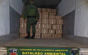 Imagem da notícia - Polícia Militar do Amazonas apreende 5 toneladas de pescado ilegal