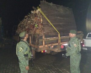 Imagem da notícia - Polícia Militar apreende carga de lenha irregular na rodovia AM-070