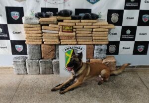 Imagem da notícia - Policiais da Base Arpão apreendem 111 quilos de maconha dentro de embarcação