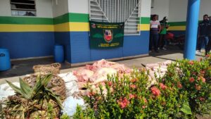 Imagem da notícia - Policiais do Batalhão de Policiamento Ambiental apreendem 781 kg de carne de animais silvestre em feira em Coari