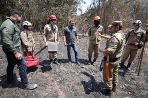 Imagem da notícia - Wilson Lima apresenta balanço de ações contra queimadas, com quase 2 mil incêndios combatidos