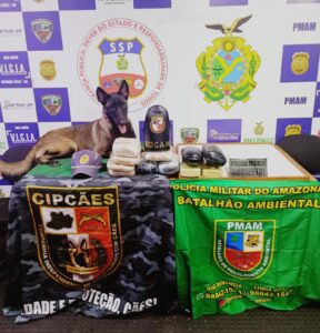 Imagem da notícia - SSP-AM apreende drogas, armas e munições avaliadas em mais de R$ 700 mil 