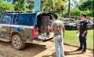 Imagem da notícia - PC-AM prende homem por tentativa de homicídio e tentativa de furto qualificado contra idoso em Benjamin Constant