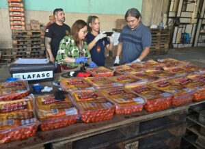 Imagem da notícia - Operação Alforria: PC-AM apreende 20 toneladas de alimentos impróprios e resgata trabalhadores em situação análoga à escravidão