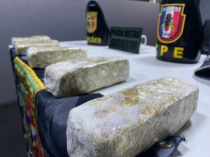 Imagem da notícia - Base Arpão 2: PMAM apreende maconha camuflada em meio à goma e farinha de mandioca