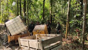 Imagem da notícia - Polícia Militar do Amazonas flagra desmatamento ilegal no município de Manicoré