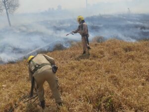 Imagem da notícia - Em Apuí, Corpo de Bombeiros combate incêndio em área de pasto