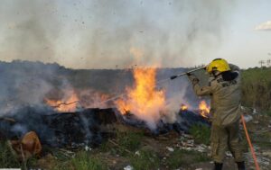 Imagem da notícia - Em 45 dias de missão, Operações Aceiro e Céu Limpo já combateram 1.454 focos de incêndio no Amazonas