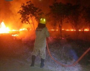 Imagem da notícia - Nas últimas 24 horas, Corpo de Bombeiros combateu 70 focos de incêndio em Manicoré