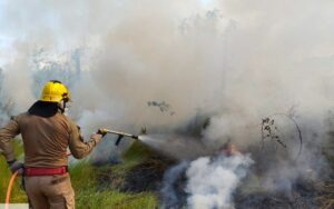 Imagem da notícia - Corpo de Bombeiros combate incêndio em área de vegetação nas proximidades do aeroporto de Manicoré