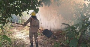 Imagem da notícia - Operação Aceiro 2024: Corpo de Bombeiros combateu 560 focos de incêndios em um mês