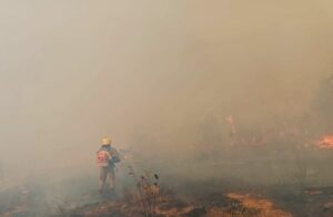 Imagem da notícia - Em Apuí, bombeiros da Operação Aceiro combatem incêndio em área de pasto