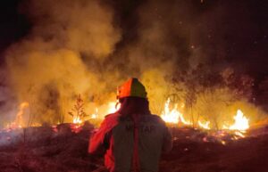 Imagem da notícia - Operação Aceiro: Corpo de Bombeiros combate incêndio em área de vegetação no município de Boca do Acre