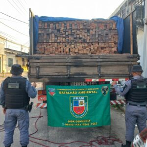 Imagem da notícia - Polícia Militar do Amazonas prende homem e apreende caminhão com 20 metros cúbicos de madeira ilegal