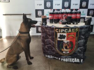 Imagem da notícia - Polícia Militar do Amazonas apreende 18kg de cocaína escondidos em garrafas de refrigerante