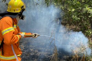 Imagem da notícia - <strong></noscript>Corpo de Bombeiros combateu mais de 20 mil focos de incêndio com as Operações Aceiro e Céu Limpo</strong>