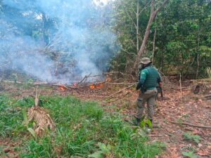 Imagem da notícia - <strong></noscript>Homem é preso por provocar incêndio em área de mata em Humaitá</strong>