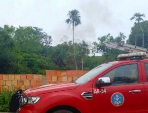 Imagem da notícia - Corpo de Bombeiros combate incêndio em área de vegetação na comunidade Parque das Tribos