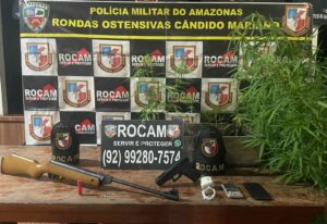 Imagem da notícia - Operação Protetor das Fronteiras: PMAM prende homem com plantação de maconha no quintal de casa em Novo Aripuanã