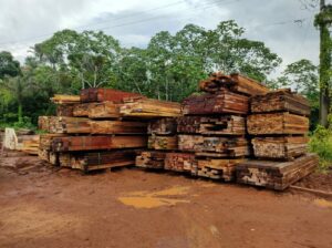 Imagem da notícia - PMAM apreende 400 metros cúbicos de madeira ilegal durante fiscalização em Manacapuru