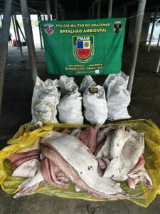 Imagem da notícia - Base Arpão 1: Polícia apreende mais de 500 quilos de pescado irregular e prende homem nas proximidades do município de Coari