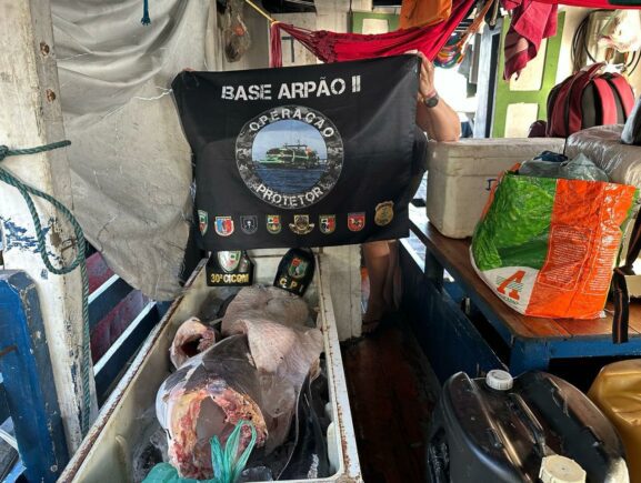  Base Arpão 2: PMAM apreende em Barcelos mais de meia tonelada de pescado protegido pelo Defeso